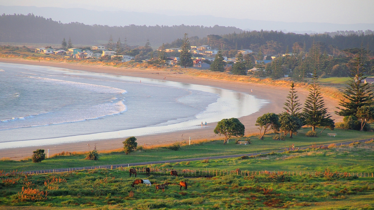 tokerau morn tokerau morn